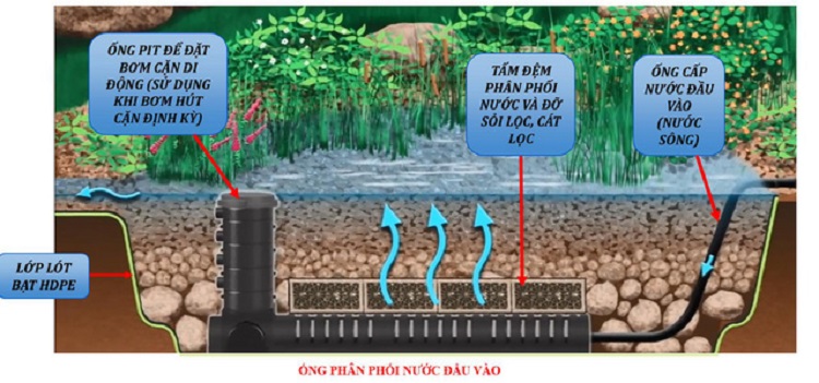 Công nghệ lọc nước WetlandCông nghệ lọc nước Wetland
